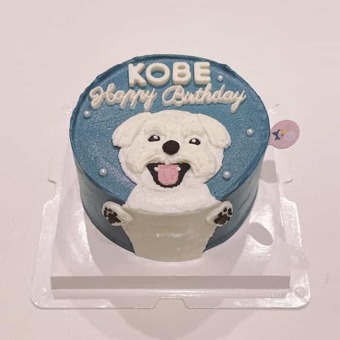 Trần Ngọc Huyền avatar