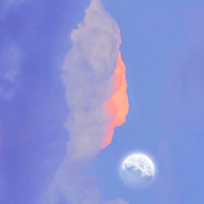 Phạm Phương Vy avatar