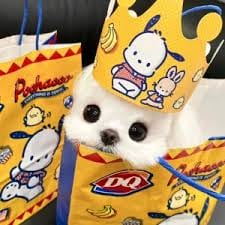 Trần Thanh Tâm avatar